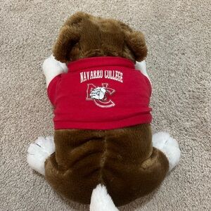 NAVARRO COLLEGE DOG (CHEER FROM NETFLIX)